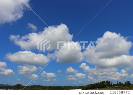 Summer blue sky clouds Summer blue sky clouds 119559773