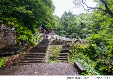 Togakushi Shrine near Nagano in Japan 119559813