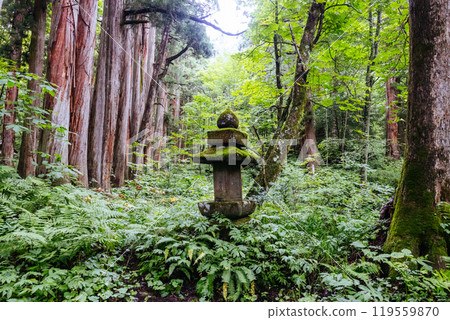 Togakushi Shrine near Nagano in Japan 119559870