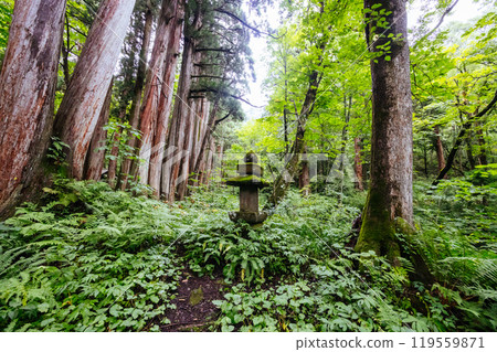 Togakushi Shrine near Nagano in Japan 119559871
