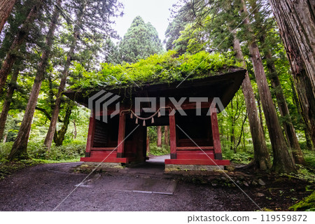 Togakushi Shrine near Nagano in Japan 119559872