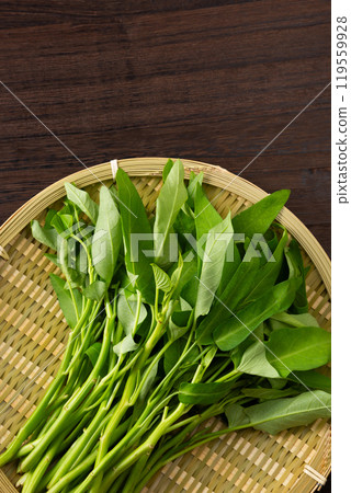 Water spinach on a colander Water spinach on a colander 119559928