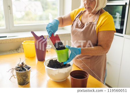 Female gardener hand holds a scoop of compost soil and pours it into a pot. Garden room gardening, Plant room, Floral decor. Female gardener hand holds a scoop of compost soil and pours it into a pot. Garden room gardening, Plant room, Floral decor. 119560051