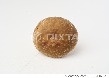 Shiitake mushroom Shiitake mushroom 119560284