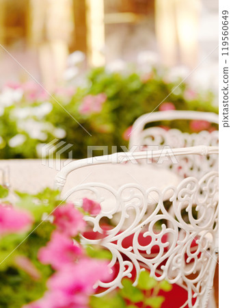 Beautiful street flowers near the cafe. Soft focus. Beautiful street flowers near the cafe. Soft focus. 119560649