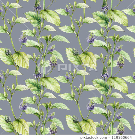 Psoralea herb stem, leaves, flowers seamless pattern. Watercolor vintage style illustration. Organic plant with bakuchiol heathy natural retinol. Psoralea corylifolia medicinal herb seamless pattern Psoralea herb stem, leaves, flowers seamless pattern. Watercolor vintage style illustration. Organic plant with bakuchiol heathy natural retinol. Psoralea corylifolia medicinal herb seamless pattern 119560664