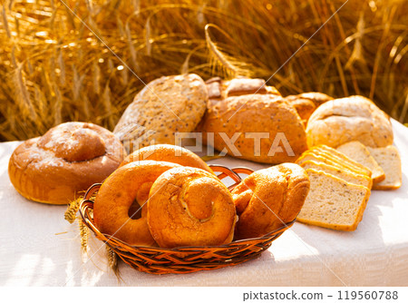 Lot of different flavored bread, wheat, rye, on the table in the field outside 119560788
