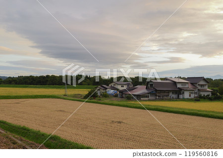 Harvest Autumn: Japanese Rural Scenery 119560816