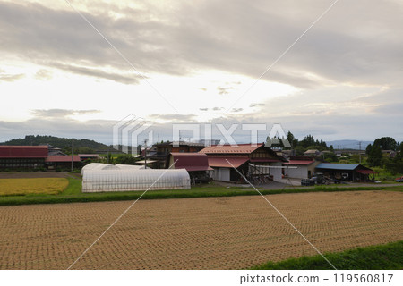 碩果累累的秋天/日本田園風光 119560817