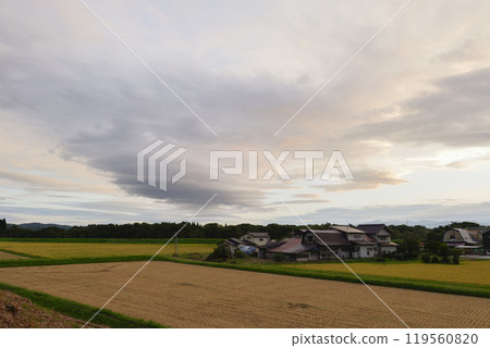 Harvest Autumn: Japanese Rural Scenery 119560820