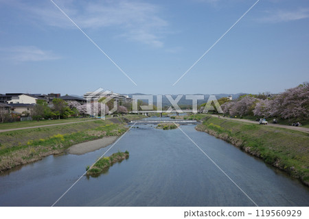 Kamogawa in Kyoto Kamogawa in Kyoto 119560929