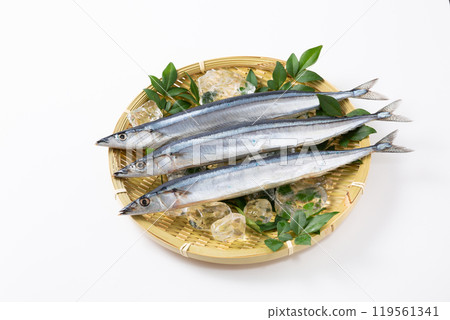 Fresh pacific saury on a colander 119561341