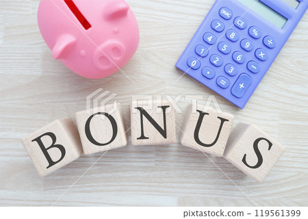 BONUS Pig piggy bank 119561399