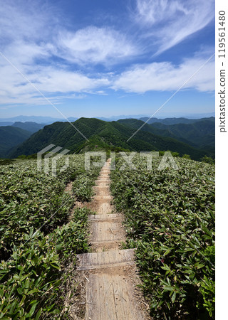 攀登群馬縣平柴山、千倉山 119561480