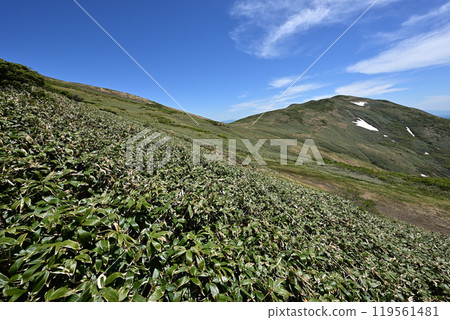 攀登群馬縣平柴山、千倉山 攀登群馬縣平柴山、千倉山 119561481