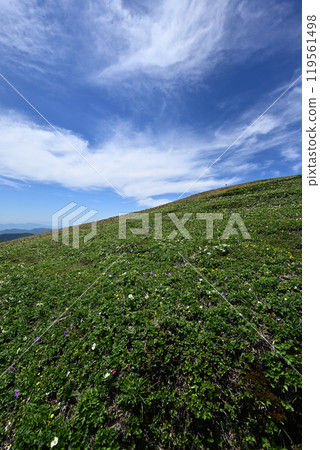 Climbing Mount Hirashira and Mount Sennokura, Gunma Prefecture 119561498