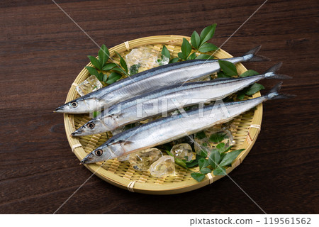 新鮮的秋刀魚 119561562