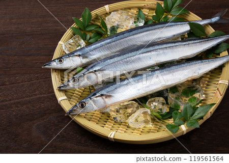 Fresh saury Fresh saury 119561564