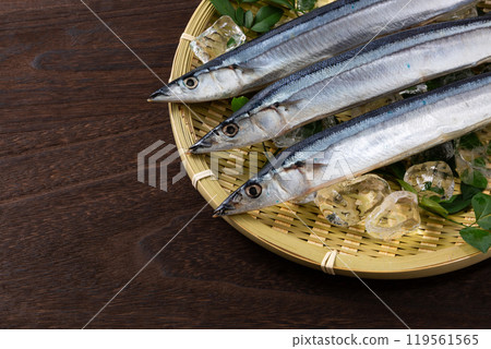Pacific saury on a colander Pacific saury on a colander 119561565
