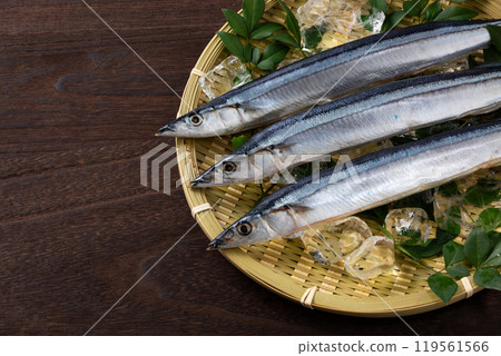 Sanma Sanma 119561566