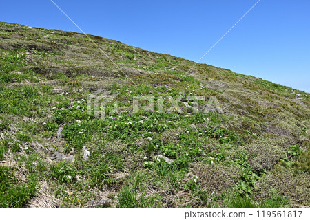 Climbing Mount Hirashira and Mount Sennokura, Gunma Prefecture 119561817