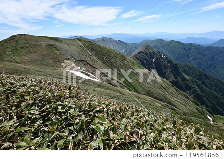 Climbing Mount Hirashira and Mount Sennokura, Gunma Prefecture 119561836