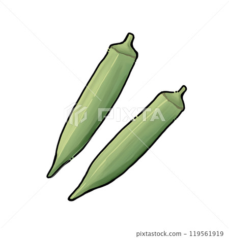 Simple okra illustration Simple okra illustration 119561919
