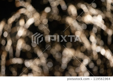 Blurred spots of rays from fireworks on a black background. Festive night background. 119561964