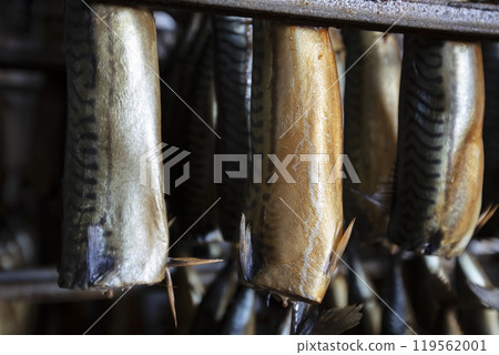 Industrial smoking of fish. Mackerel in a smoking oven. Industrial smoking of fish. Mackerel in a smoking oven. 119562001