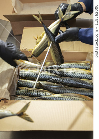 Smoked mackerel in a paper box. Fishing industry. 119562006