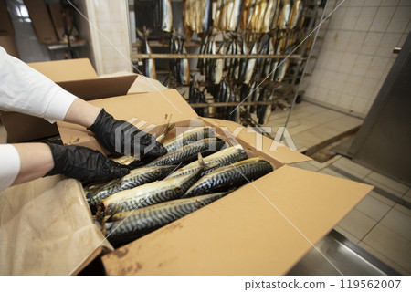 Smoked mackerel in a paper box. Fishing industry. Smoked mackerel in a paper box. Fishing industry. 119562007