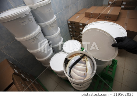 Herring in a plastic bucket in an industrial warehouse or store. Herring in a plastic bucket in an industrial warehouse or store. 119562025