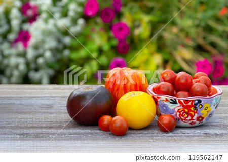 Variety of tomatoes, big and small, on the wooden table in the garden. 119562147