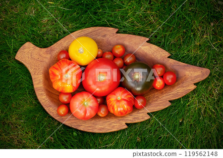 Variety of colorful tomatoes on the wooden leaf plate on the grass. 119562148