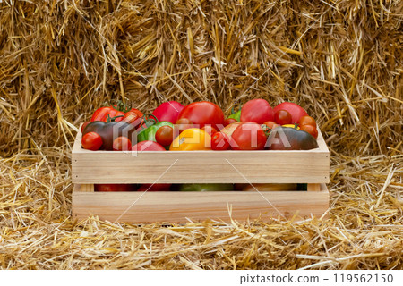 Variety of colorful tomatoes in the wooden crate box on the straw. Variety of colorful tomatoes in the wooden crate box on the straw. 119562150
