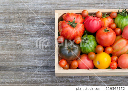 Top view of variety of tomatoes in the wooden crate on the table. 119562152