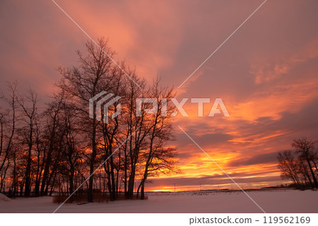 Colorful orange and purple sunset in canadian prairies in winter. 119562169