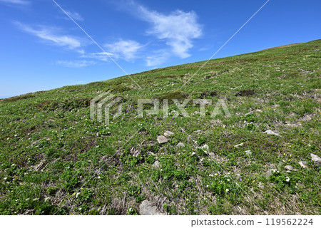 Climbing Mount Hirashira and Mount Sennokura, Gunma Prefecture 119562224