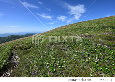 Climbing Mount Hirashira and Mount Sennokura, Gunma Prefecture 119562225