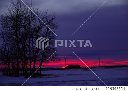 Colorful sunset in prairies with bare winter tree silhouettes. 119562254
