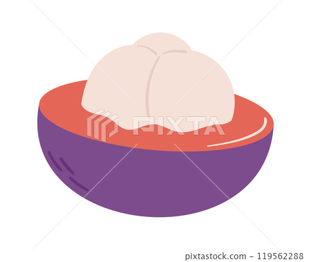 Fruit half Mangosteen in cartoon hand drawn simple style. Editable variable color Fruit half Mangosteen in cartoon hand drawn simple style. Editable variable color 119562288