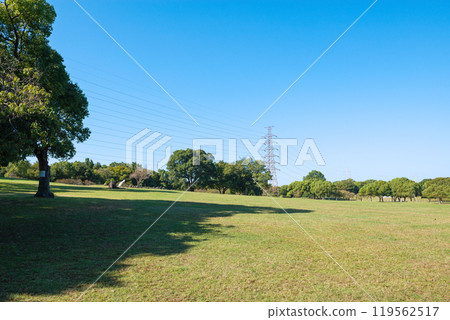 清晨的大山公園 清晨的大山公園 119562517