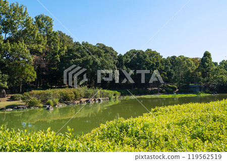 Daisen Park in the morning 119562519