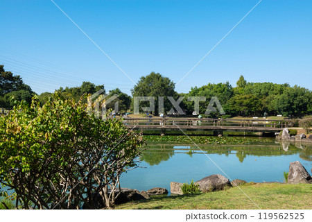 Daisen Park in the morning 119562525