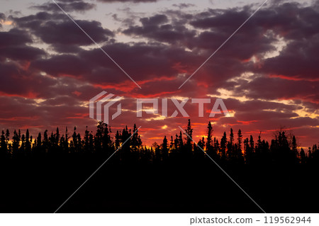 Colourful skies during orange and purple sunset in the darkness over trees. Colourful skies during orange and purple sunset in the darkness over trees. 119562944