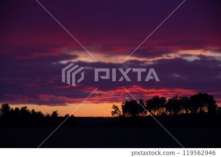 Purple and orange clouds over the trees during sunset Purple and orange clouds over the trees during sunset 119562946