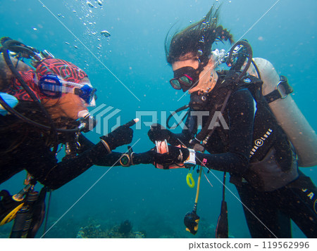 A scuba diver practice deploying the SMB, or surface marker buoy at the safety stop A scuba diver practice deploying the SMB, or surface marker buoy at the safety stop 119562996
