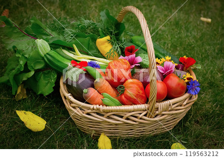 Fresh organic vegetables in the basket on the grass Fresh organic vegetables in the basket on the grass 119563212