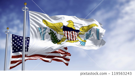 Close-up of United States Virgin Islands flag waving 119563243