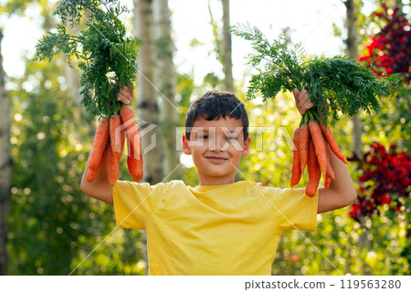 A smiling boy in yellow t-shirt is holding two bunches of large orange carrots with leaves in the autumn garden near green and red trees. 119563280